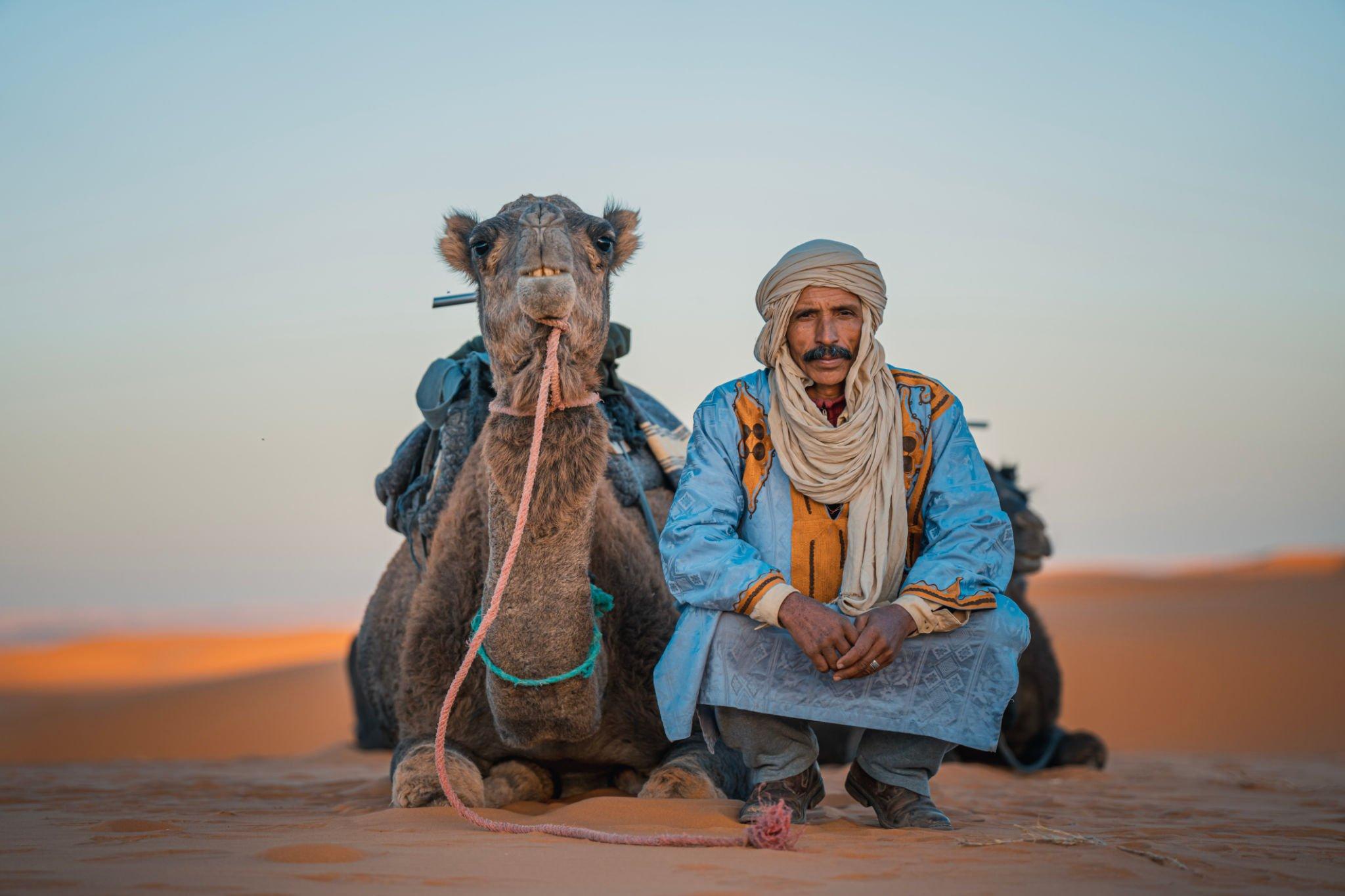 Moroccan camel driver
