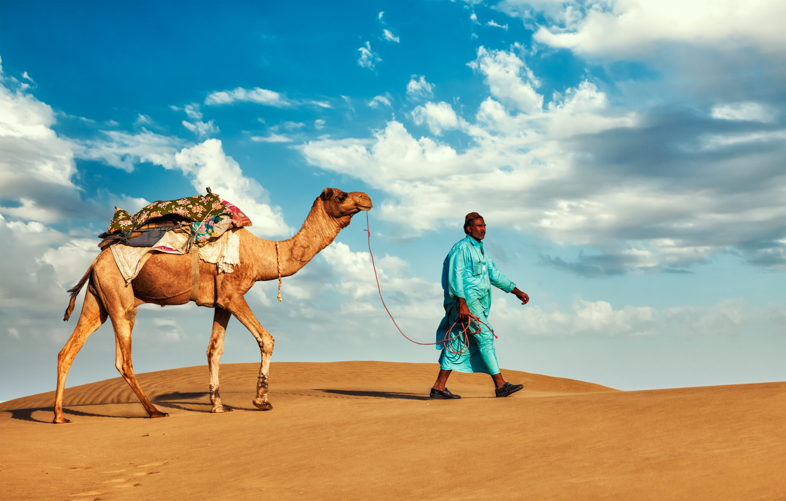 Rajasthan travel background - Indian cameleer (camel driver) with camels in dunes of Thar desert. Jaisalmer, Rajasthan, India