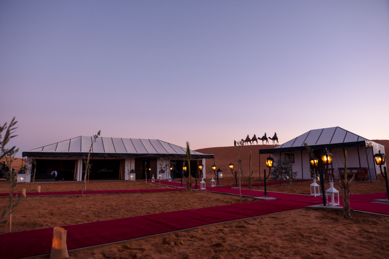 large-cover-1698248437-luxury-marrakech-to-fes-desert-tour